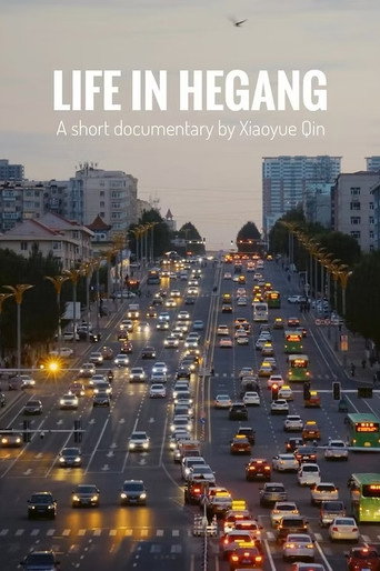 Life in Hegang