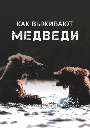 Bears : Ultimate Survivors — Pôsteres 2