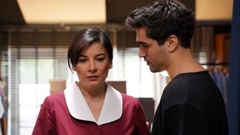 Episódio Episódio 17 da série O Canto do Pássaro