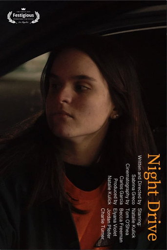 Cartell de Night Drive