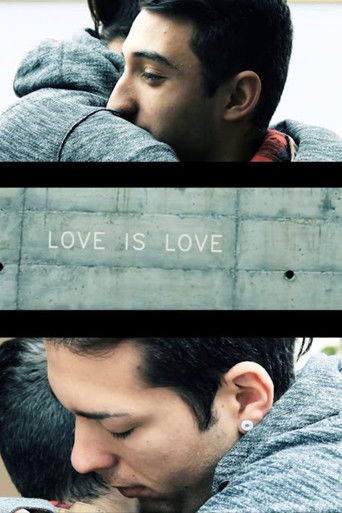Love is Love poster