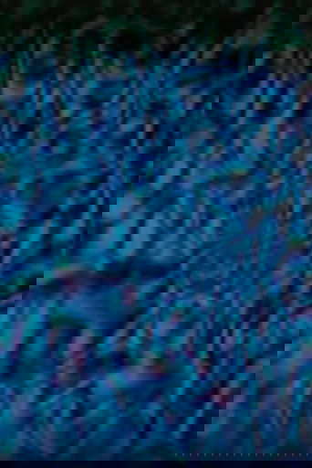 Mad Mesh