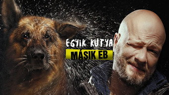 Пёс Temporada 6 Episodio 1