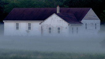 Galeria 4 - Soy la bonita criatura que vive en esta casa