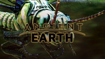 What Killed The Giant Insects
