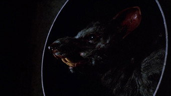 #5 Deadly Eyes
