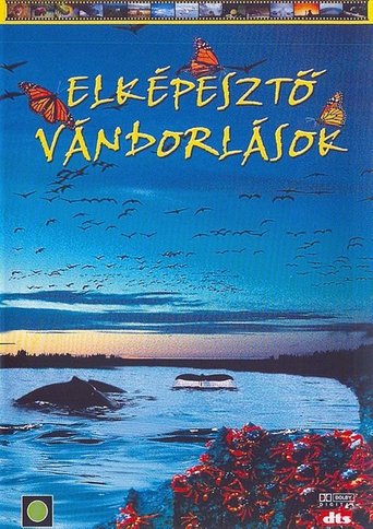 IMAX - Elképesztő vándorlások