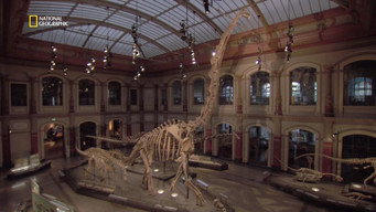 Megasaurus