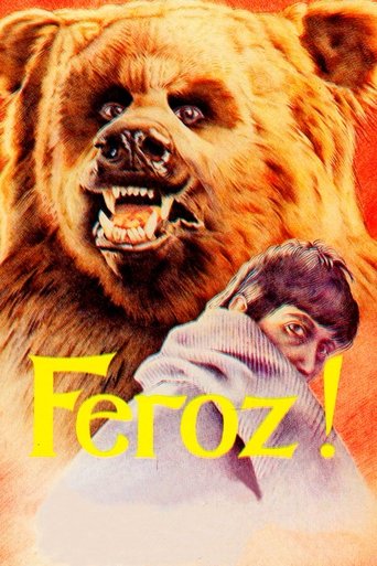 Poster of Feroz