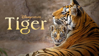 #15 Tiger