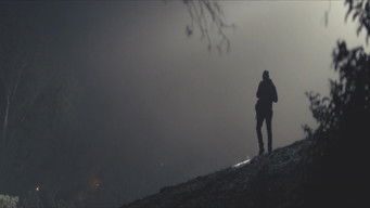 Galeria 3 - Ladrón que roba a ladrón