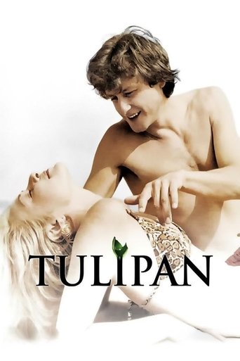 Tulipan