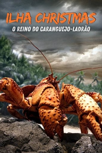 The Giant Robber Crab