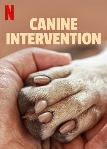 Canine Intervention image