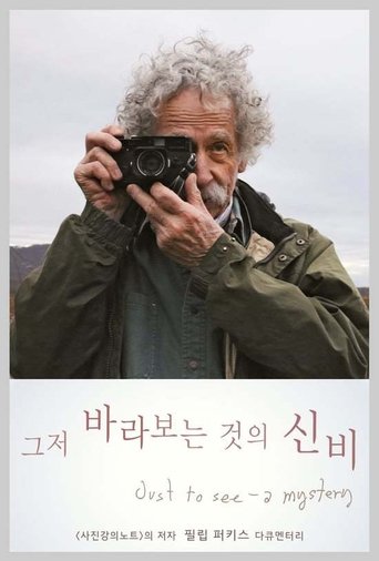 Just To See - A Mystery (2016)