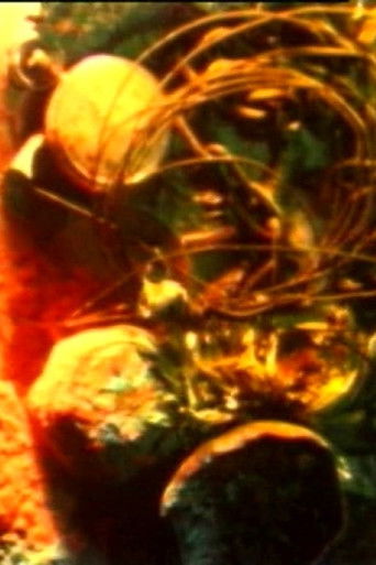 Sleeping Electricity (1992)