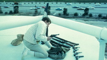 #45 Targets