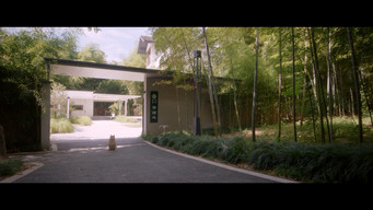 Episode 26 — Episode 26