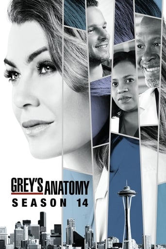 Grey’s Anatomy Season 14