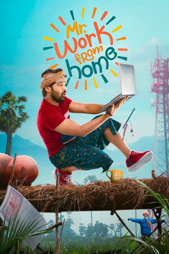 Mr. Work from Home (2026) poster