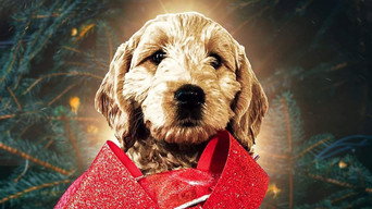 The Christmas Doodle (2021)