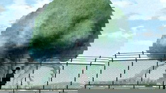 Cena de Futuro ~Carreira que Desejo Seguir~