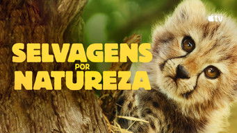 Cena de Selvagens por Natureza