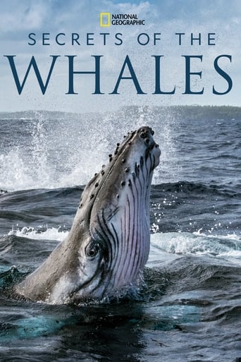Secrets of the Whales image