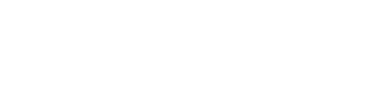 The Ashley Madison Affair logo