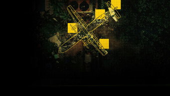 Voepass 2283: A Queda (2026)