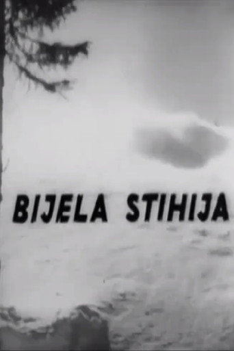 Cartell de Bijela stihija
