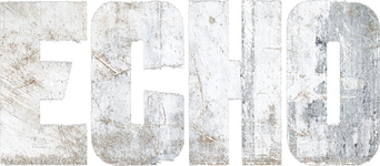 Echo logo