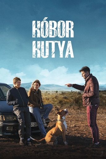Kóbor kutya