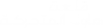 صورة من قلعة هاول المتحركة