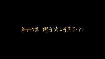 第16集 狮子头上开花了（下）