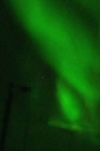 Slices of Life: Lights poster