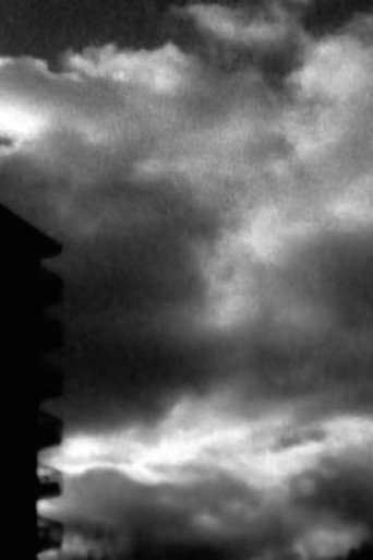 A Windy Season (2017)
