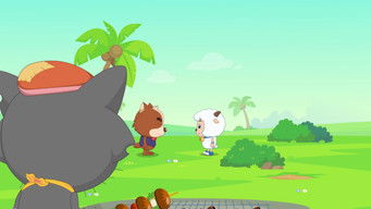 Episode 51 — Episode 51