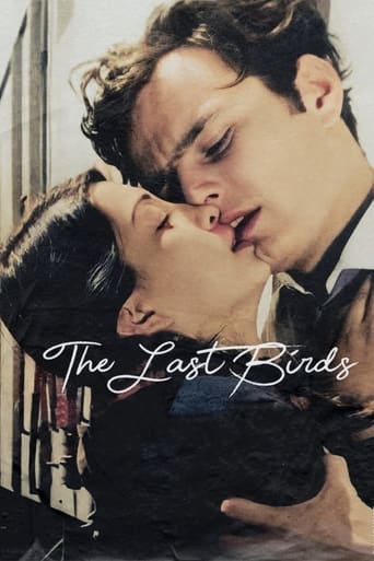 Poster of The Last Birds