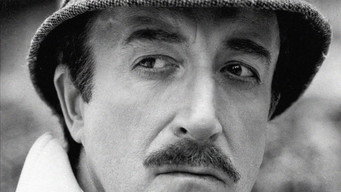 Still 8 from The Return of the Pink Panther