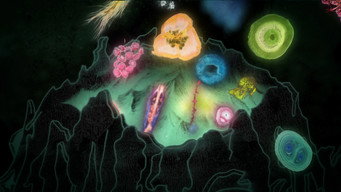 Protozoa (2026)