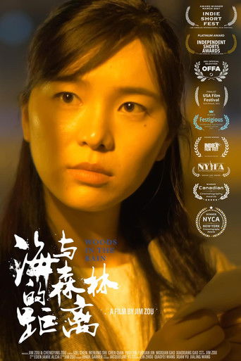 Woods in the Rain poster