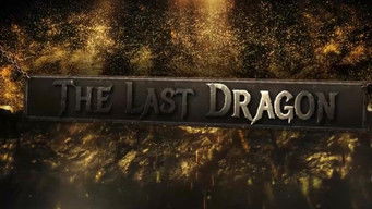 The Last Dragon (2018)