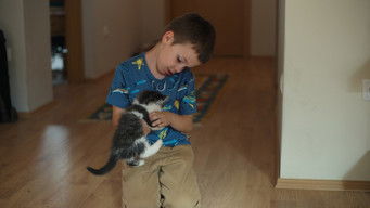 Episode 9 — Village Showdown