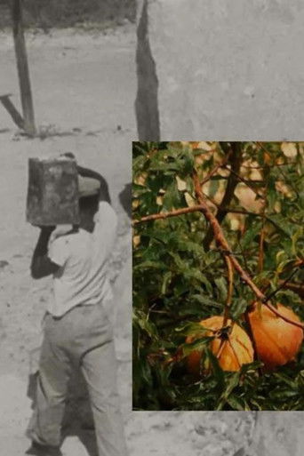 the fecund, the lush and the salted land waits for a harvest...her people...ripe with promise, wait until the next blowing season (2022)