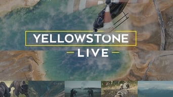 Yellowstone LIVE (2018-2019)