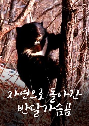자연으로 돌아간 반달가슴곰 (2002)