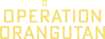 Operation Orangutan logo