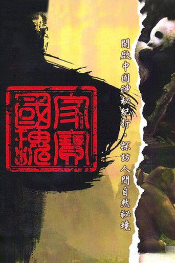 中国神秘紀行 poster