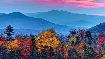 Unlocking the Mysteries of Autumn Leaves